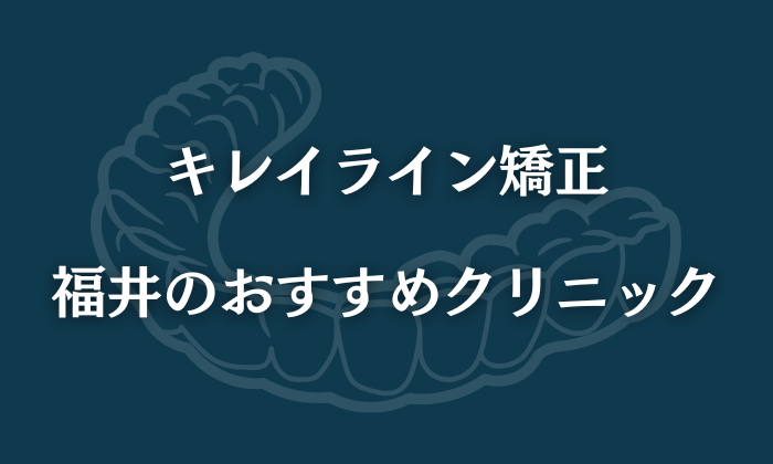 キレイライン　福井